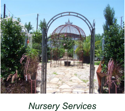 Nursery Services